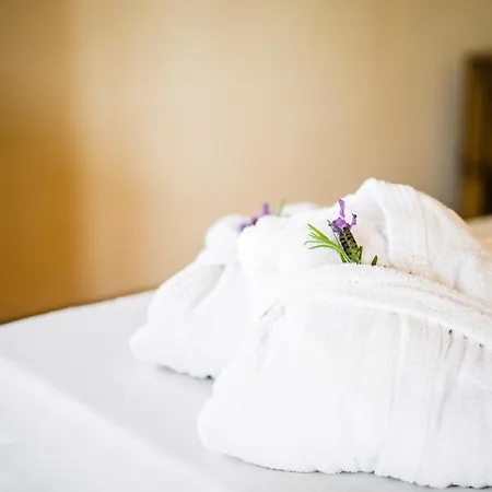 Lh Pozzo Sacro Όλμπια