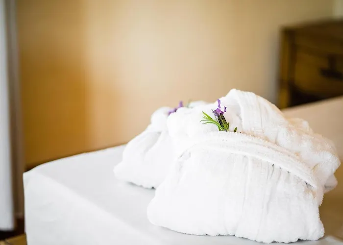 Lh Pozzo Sacro Olbia