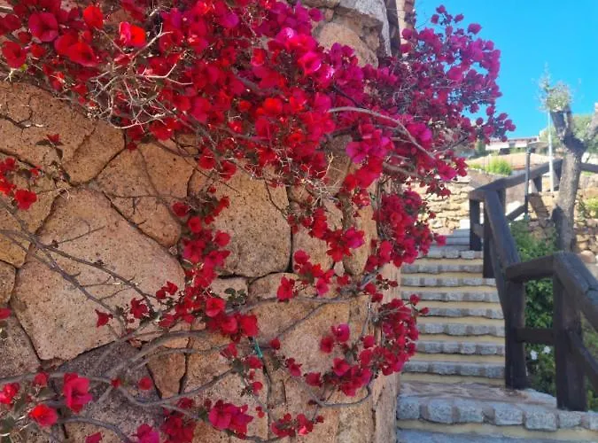 Lh Pozzo Sacro Όλμπια